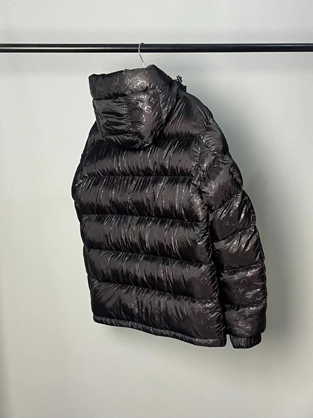 Louis Vuitton Down Jackets